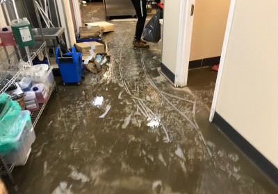 Storm Dennis Flooding Disruption 