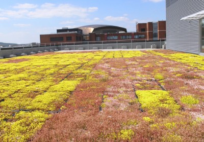 The clock is ticking - in April 2018, EPCs begin to bite! 