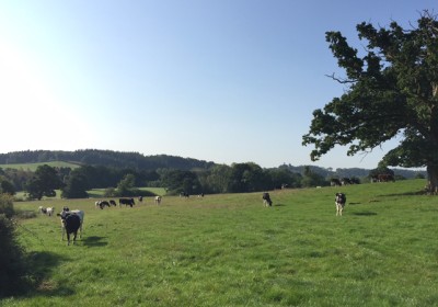 Common sense prevails in Appeal Court judgement 