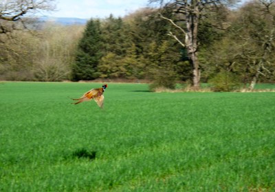 Be sure of farmland value 