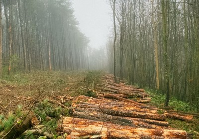 Rural Department in Spring 