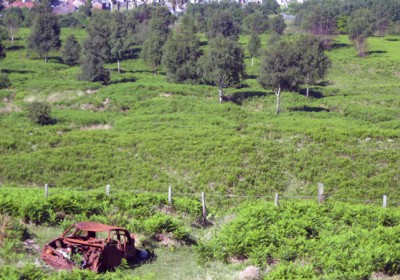 Proposals to tax vacant land in Wales explored 